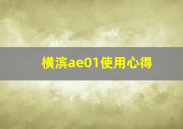 横滨ae01使用心得