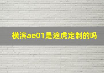 横滨ae01是途虎定制的吗