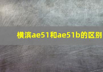 横滨ae51和ae51b的区别