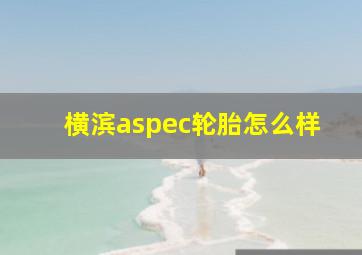 横滨aspec轮胎怎么样