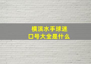 横滨水手球迷口号大全是什么