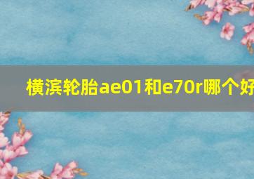 横滨轮胎ae01和e70r哪个好