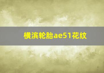 横滨轮胎ae51花纹