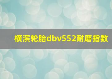 横滨轮胎dbv552耐磨指数