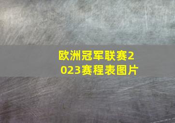 欧洲冠军联赛2023赛程表图片