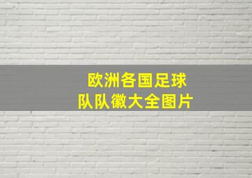 欧洲各国足球队队徽大全图片