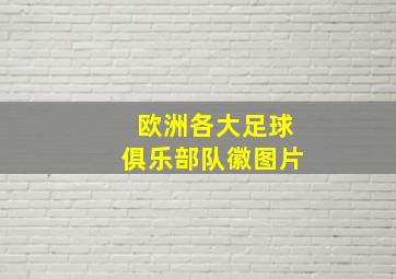 欧洲各大足球俱乐部队徽图片