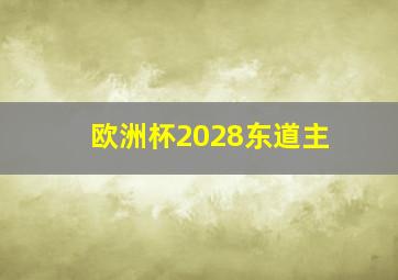 欧洲杯2028东道主