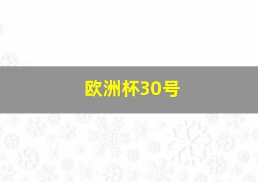 欧洲杯30号