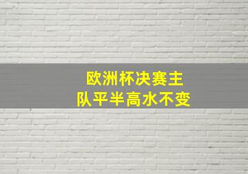 欧洲杯决赛主队平半高水不变