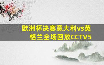 欧洲杯决赛意大利vs英格兰全场回放CCTV5