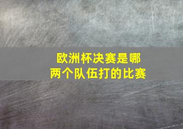 欧洲杯决赛是哪两个队伍打的比赛