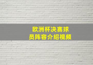 欧洲杯决赛球员阵容介绍视频