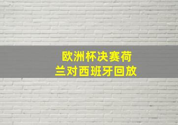 欧洲杯决赛荷兰对西班牙回放