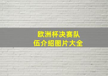 欧洲杯决赛队伍介绍图片大全