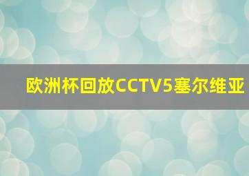 欧洲杯回放CCTV5塞尔维亚