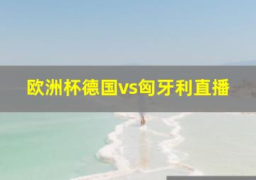 欧洲杯德国vs匈牙利直播