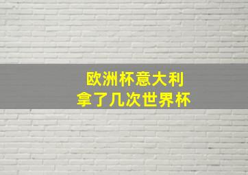 欧洲杯意大利拿了几次世界杯