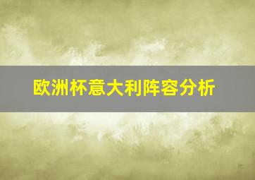 欧洲杯意大利阵容分析