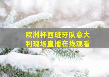 欧洲杯西班牙队意大利现场直播在线观看