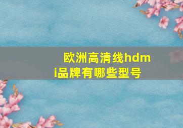 欧洲高清线hdmi品牌有哪些型号