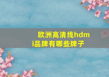 欧洲高清线hdmi品牌有哪些牌子