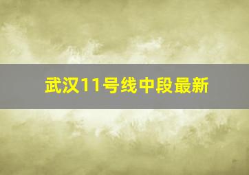 武汉11号线中段最新