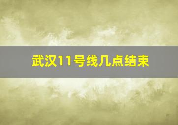 武汉11号线几点结束