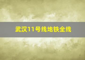 武汉11号线地铁全线