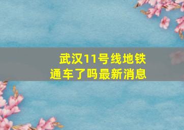 武汉11号线地铁通车了吗最新消息