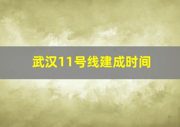 武汉11号线建成时间