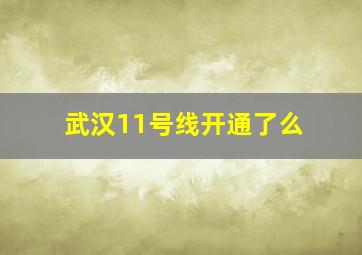 武汉11号线开通了么