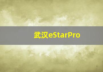 武汉eStarPro