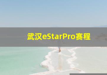 武汉eStarPro赛程