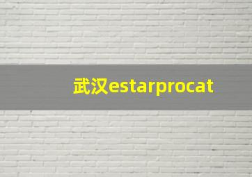 武汉estarprocat