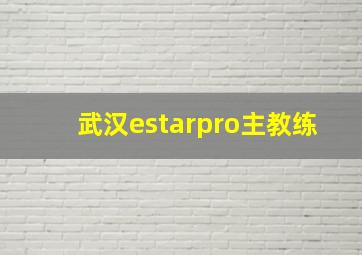 武汉estarpro主教练