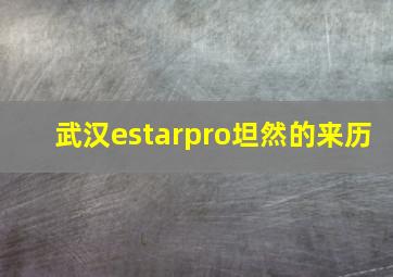 武汉estarpro坦然的来历