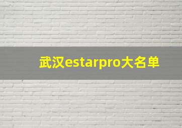 武汉estarpro大名单