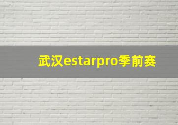 武汉estarpro季前赛