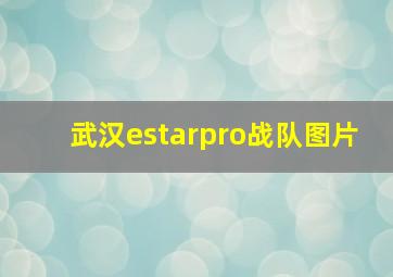 武汉estarpro战队图片