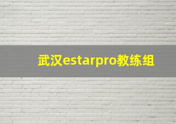 武汉estarpro教练组