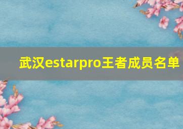 武汉estarpro王者成员名单