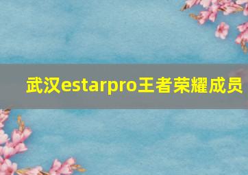 武汉estarpro王者荣耀成员