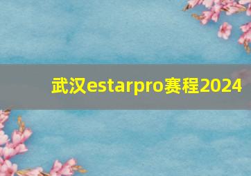 武汉estarpro赛程2024