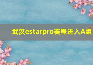 武汉estarpro赛程进入A组