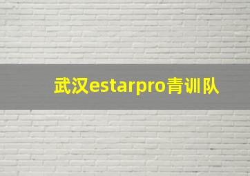 武汉estarpro青训队