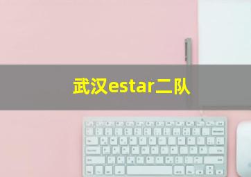 武汉estar二队