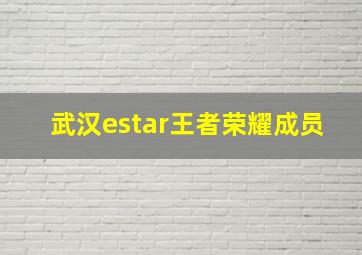 武汉estar王者荣耀成员