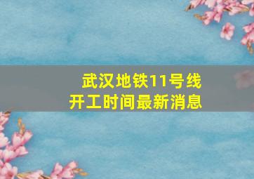 武汉地铁11号线开工时间最新消息