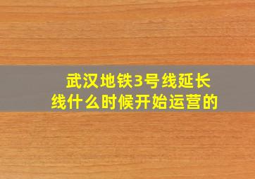 武汉地铁3号线延长线什么时候开始运营的